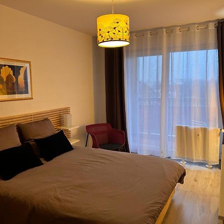 שטרסבורג Appartement Sur Les Bords De L'Ill מראה חיצוני תמונה